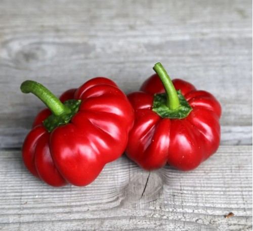 Bell Pepper Cheese pimiento - Pepper Queso de Pimiento 